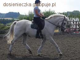 Zdjęcie Dominika Ż. - fotografia