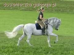 Zdjęcie Dominika Ż. - fotografia