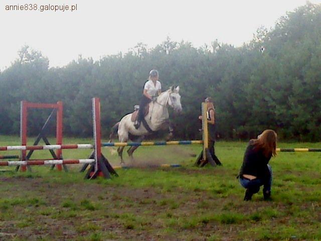 Zdjęcie A. Wojciechowska - fotografia