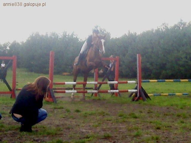 Zdjęcie A. Wojciechowska - fotografia
