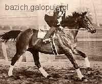 Zdjęcie KLAUDIA BAZICHOWSKA - fotografia