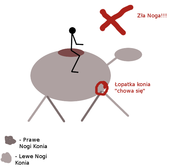 Zdjęcie Ola Koniara - fotografia