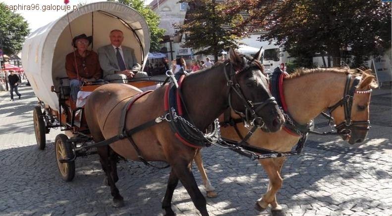 Zdjęcie Ania - - fotografia