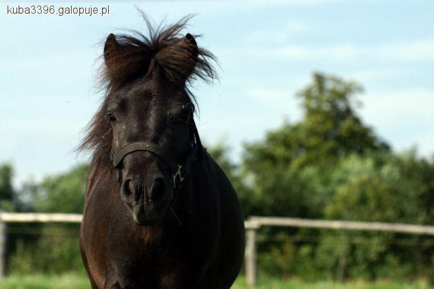 Zdjęcie Kuba Kuba - fotografia