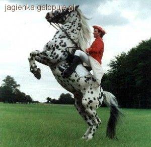Zdjęcie Agnieszka Kubiak - fotografia