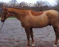 Zdjęcie Alicja Wypych - fotografia