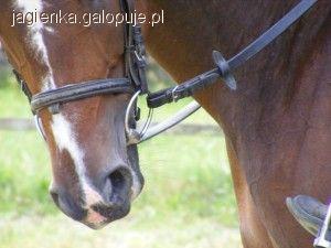Zdjęcie Agnieszka Kubiak - fotografia