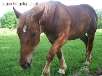 Zdjęcie Agnieszka Kubiak - fotografia