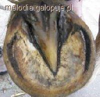 Zdjęcie Alicja Wypych - fotografia