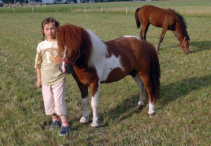 Zdjęcie Agnieszka Kubiak - fotografia