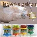 Zdjęcie Agnieszka Kubiak - fotografia