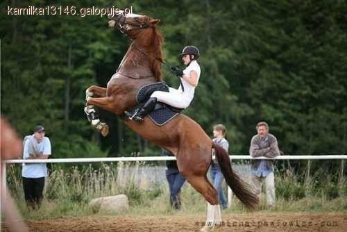 Zdjęcie Kamila  Curyło  - fotografia