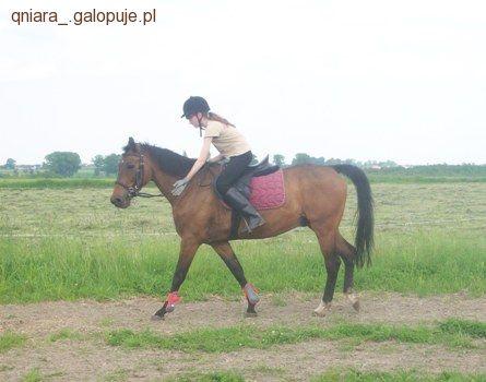 Zdjęcie Kinga Wojciechowska - fotografia