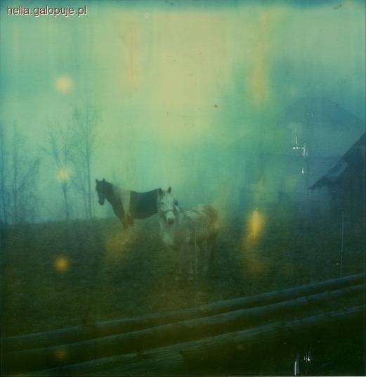Zdjęcie Aleksandra Brożek - fotografia