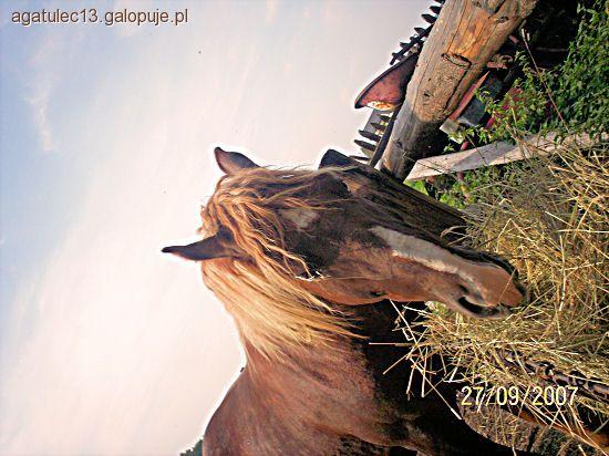 Zdjęcie Agata Perkowska - fotografia