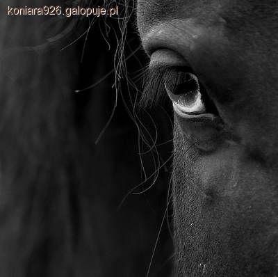 Zdjęcie W J - fotografia