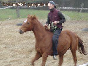 Zdjęcie W J - fotografia