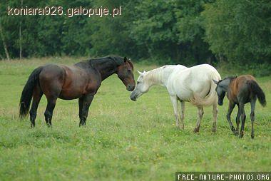 Zdjęcie W J - fotografia
