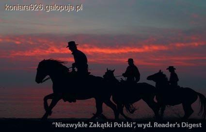 Zdjęcie W J - fotografia