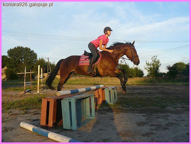 Zdjęcie W J - fotografia