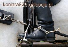 Zdjęcie W J - fotografia