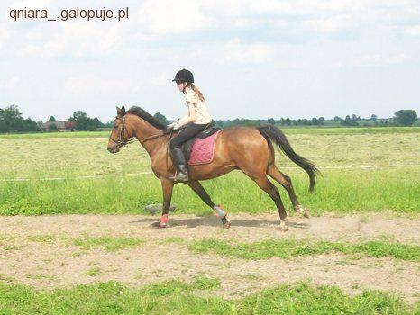 Zdjęcie Kinga Wojciechowska - fotografia