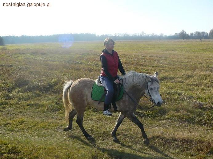 Zdjęcie Majka Dąbrowska. - fotografia