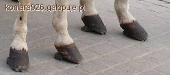 Zdjęcie W J - fotografia