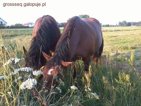Zdjęcie Karolina Wilczyńska - fotografia