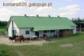Zdjęcie W J - fotografia