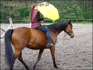 Zdjęcie W J - fotografia