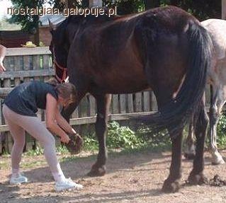 Zdjęcie Majka Dąbrowska. - fotografia