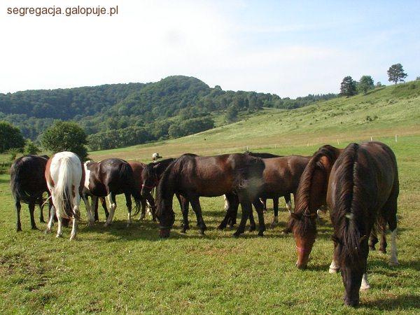 Zdjęcie Beata Szlanga - fotografia