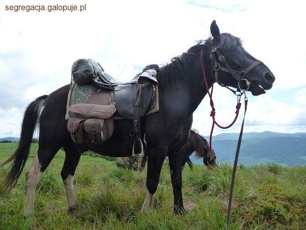 Zdjęcie Beata Szlanga - fotografia
