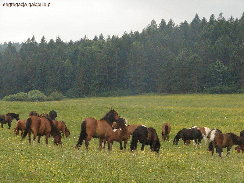 Zdjęcie Beata Szlanga - fotografia