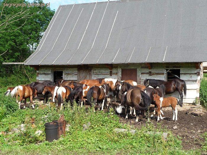 Zdjęcie Beata Szlanga - fotografia