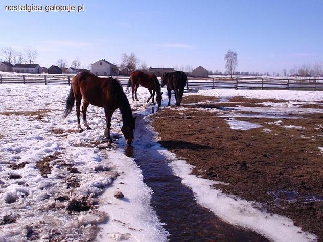 Zdjęcie Majka Dąbrowska. - fotografia