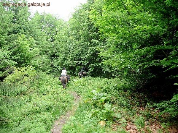 Zdjęcie Beata Szlanga - fotografia