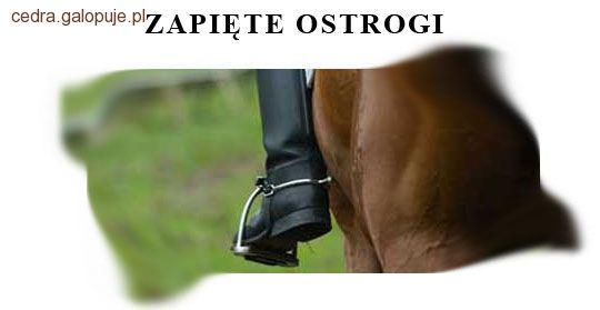 Zdjęcie Natalia Cichowska - fotografia