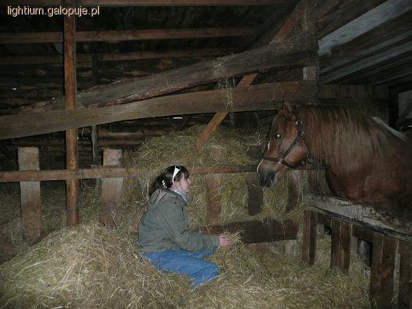 Zdjęcie Magdalena W. - fotografia