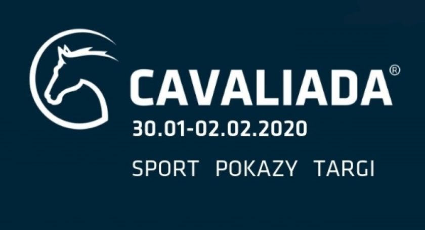 Zdjęcie Redakcja galopuje.pl - fotografia