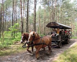 zdjęcie nr 9