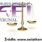 Fotka nr 2 z 3