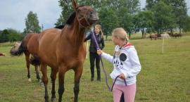 Uczestnicy obozów jeździeckich uczą się opieki nad końmi
