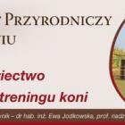 Fotka nr 2 z 3