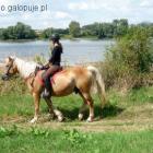 zdjęcie nr 7