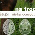 Fotka nr 1 z 2