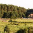 zdjęcie nr 8