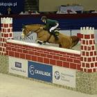 Cavaliada 2014 Skoki