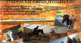 Zapraszamy